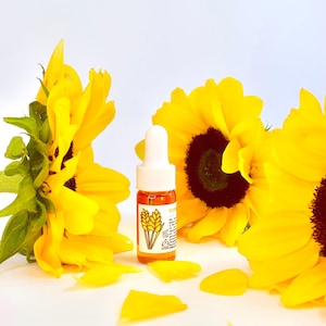 May include: A small amber-colored bottle with a white dropper, featuring a wheat graphic, sits among bright yellow sunflowers. Yellow petals are scattered around the bottle. The image has a clean, bright aesthetic.