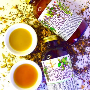 May include: Two glass bottles of herbal shampoo and conditioner with green and purple labels. The bottles are sitting on a white surface with dried herbs scattered around them.