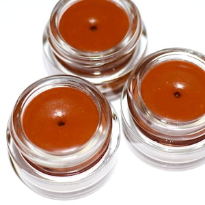 Post ApocaLipTint . plant makeup organic vegan lip tint, spicy cinnamon