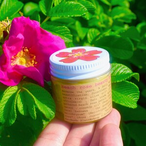 Beach Rose Beauty Balm . all natural face + body moisturizer infused with roses