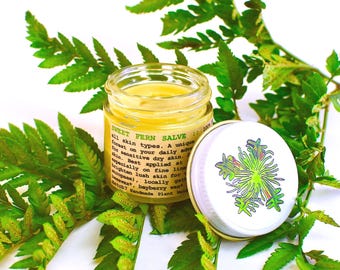 Sweet Fern Salve . unique forest infused moisturizing face and body balm