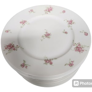 Vintage C. Ahrenfeldt Limoges France Dinner Plates, Set of Eight