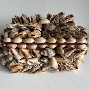 May include: A rectangular box covered in various seashells, showcasing a natural, coastal aesthetic. The shells are primarily beige, brown, and white, with a red band and small white beads. The box is a decorative item.