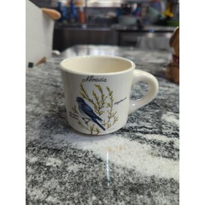 Può includere: Una tazza in ceramica color crema con manico. La tazza presenta un'illustrazione di un uccello blu con la parola "Nevada" e altro testo. L'uccello è appollaiato su un ramo con foglie verdi. La tazza è su una superficie maculata.