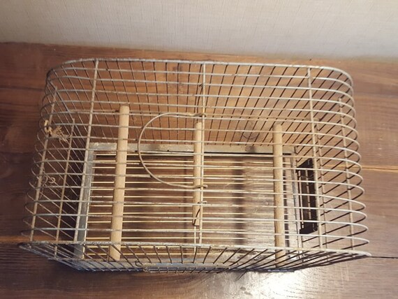 Old Vintage Antique French Bird Cage Birdcage Metal Ancienne Cage à Oiseaux