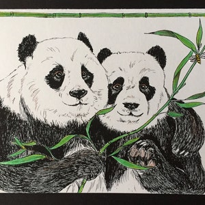 Abraçando o cartão em branco dos pandas