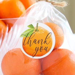 Little Cutie Thank You Stickers, Orange Little Cutie is on the Way Baby Shower Party Favor Stickers, Birthday Party Bag Seals, 40ct