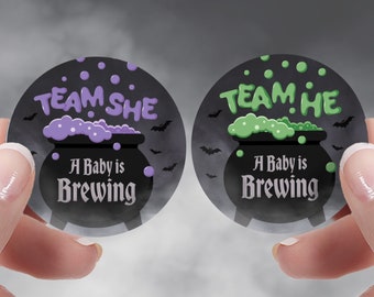 A Baby Is Brewing Spooky Gender Reveal Stickers, 40 Team He or She Labels, Wizard or Witch Cauldron Stickers, Halloween Baby Voting Stickers