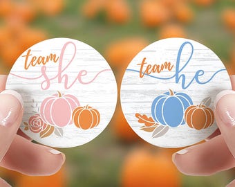 Pumpkin Gender Reveal Stickers | Team He or She, Fall Baby Shower