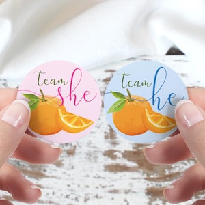 Orange You Curious Gender Reveal Party Stickers, Little Cutie Team He or Team She Gender Reveal Voting Stickers, Boy or Girl Labels, 40ct