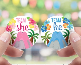 Hawaiian Luau Gender Reveal Party - Team Boy or Team Girl - 40 Labels, Aloha Baby Volcano Team He or She Voting Stickers, Tiki Baby Shower