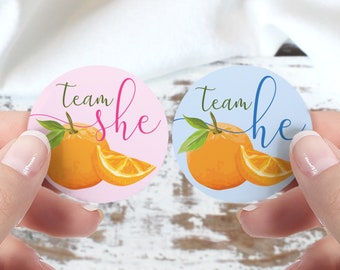 Orange Little Cutie Baby Gender Reveal Party - Team He or Team She Gender Reveal Voting Stickers - Blue Team Boy or Pink Team Girl Labels