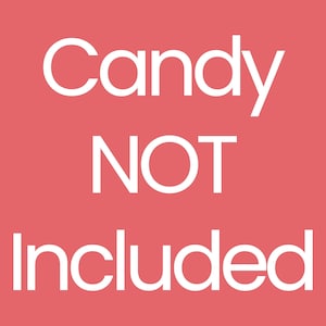 Wildflower Girl Baby Shower Chocolate Kiss Stickers, Baby in Bloom Little Wildflower Party Favor Labels, Bulk Candy Favor, 180 Count image 3