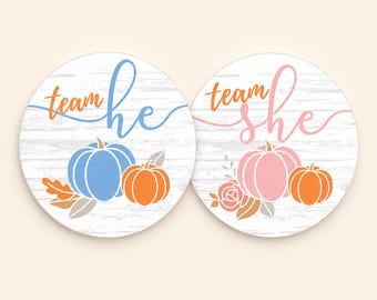 Stickers Revelación Género Calabaza – Qué Será Nuestro Pequeño, Team Él Team Ella, 1.75" Redondo, 40 Unidades