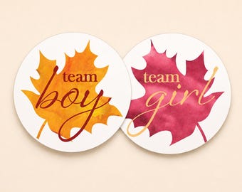 Stickers Revelación Género Hojas Otoño – Team Niño o Niña Votación, Tema Rústico, 1.75" Redondo, 40 Unidades