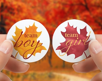 Fall Leaves Gender Reveal Stickers – Team Boy or Girl, Autumn Theme (40 Labels)
