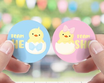 Chick Gender Reveal Stickers – Team He or She, Easter Theme (40 Stickers)