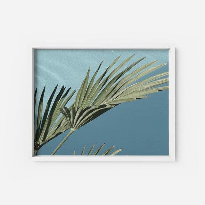By the Pool 1 Palm Tree Leaves in Front of a Blue Pool - Etsy