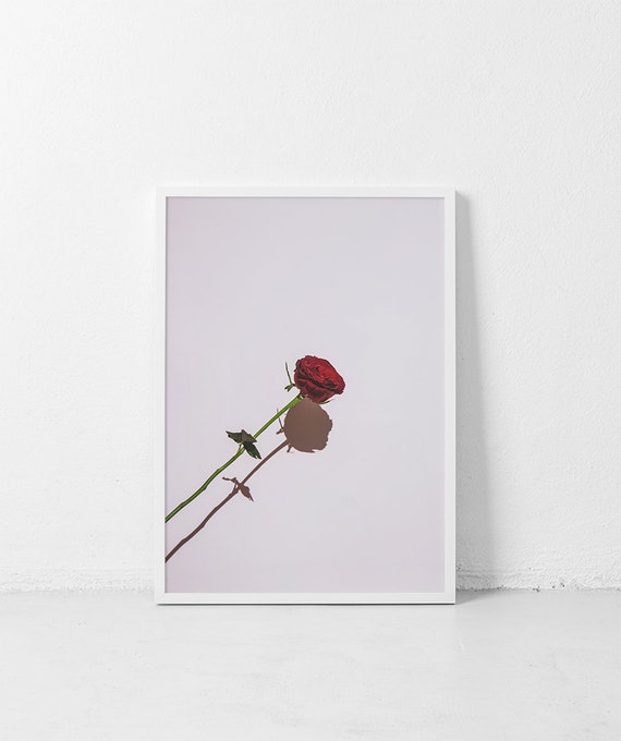 La Rose Rouge PRINTABLE Red Rose and Dusty Pink Photography | Etsy