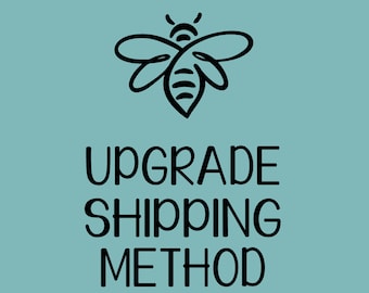 Upgrade Shipping Method- ADD ON To Existing Purchase