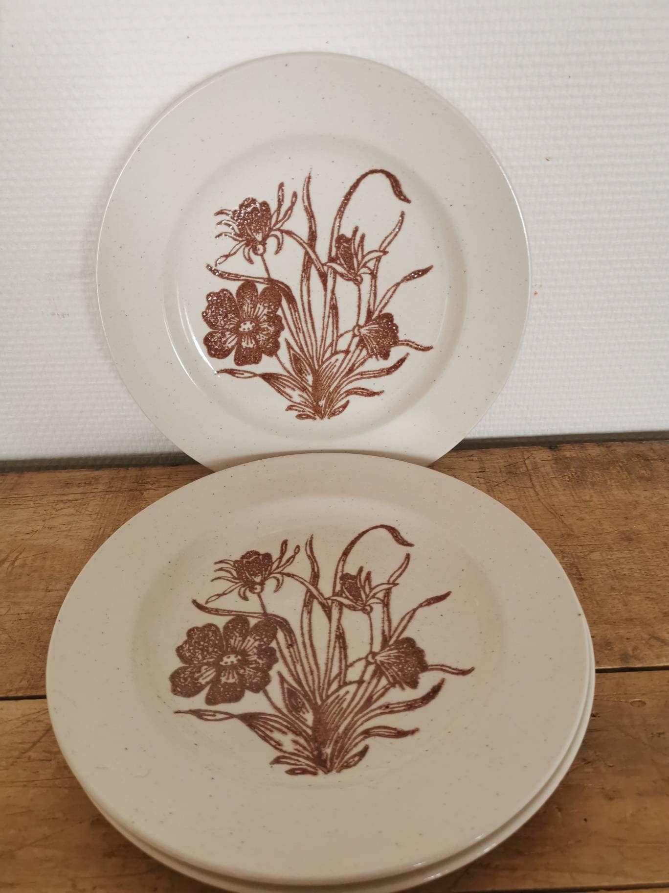 Assiettes Plates Vintage 1970