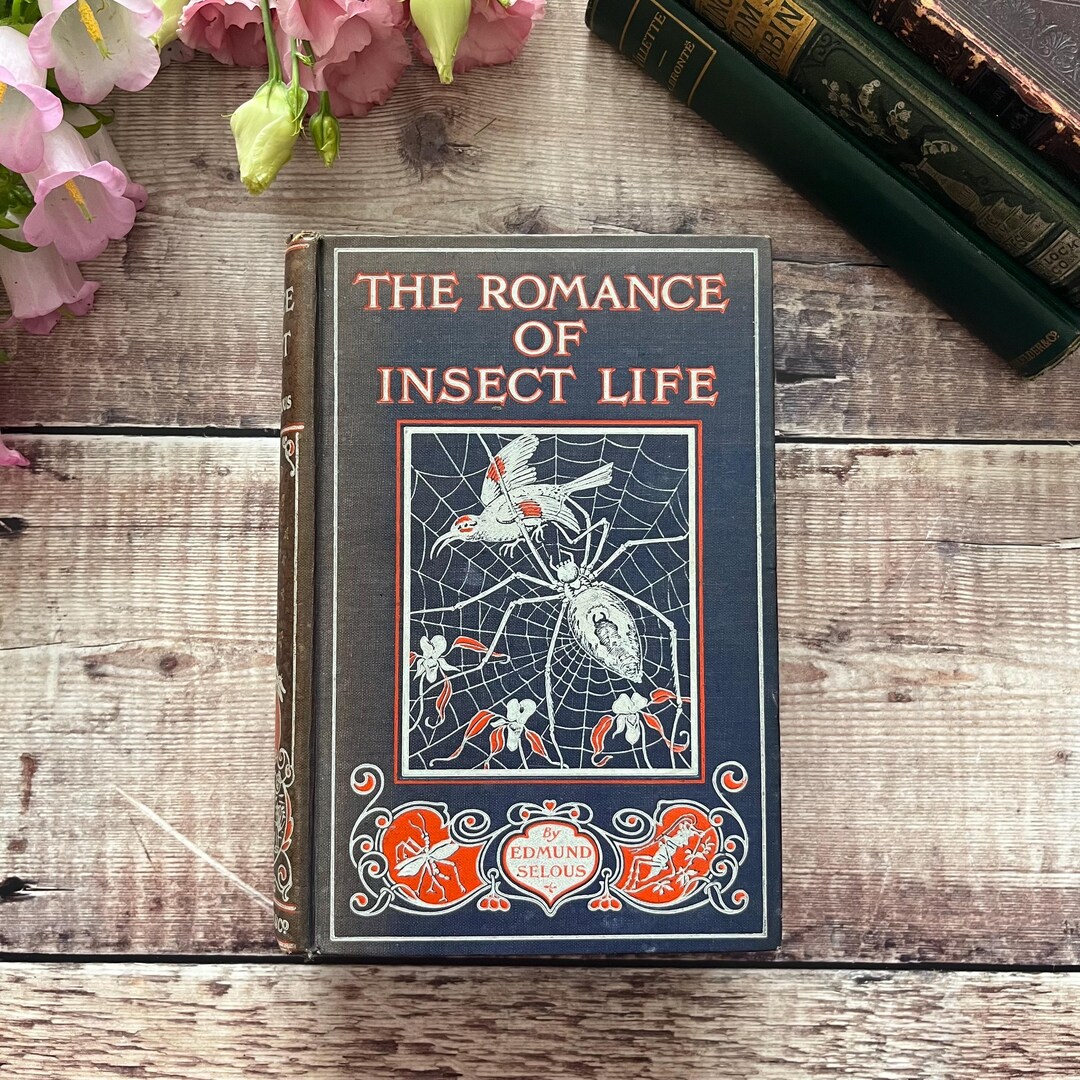 1921 the Romance of Insect Life Vintage Antique Illustrated Scarce Book ...