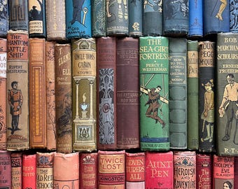 The Original Adopt an Antique Book...Give a Well Loved Antique Book a Home...these books are a bit more well loved and looking for new homes