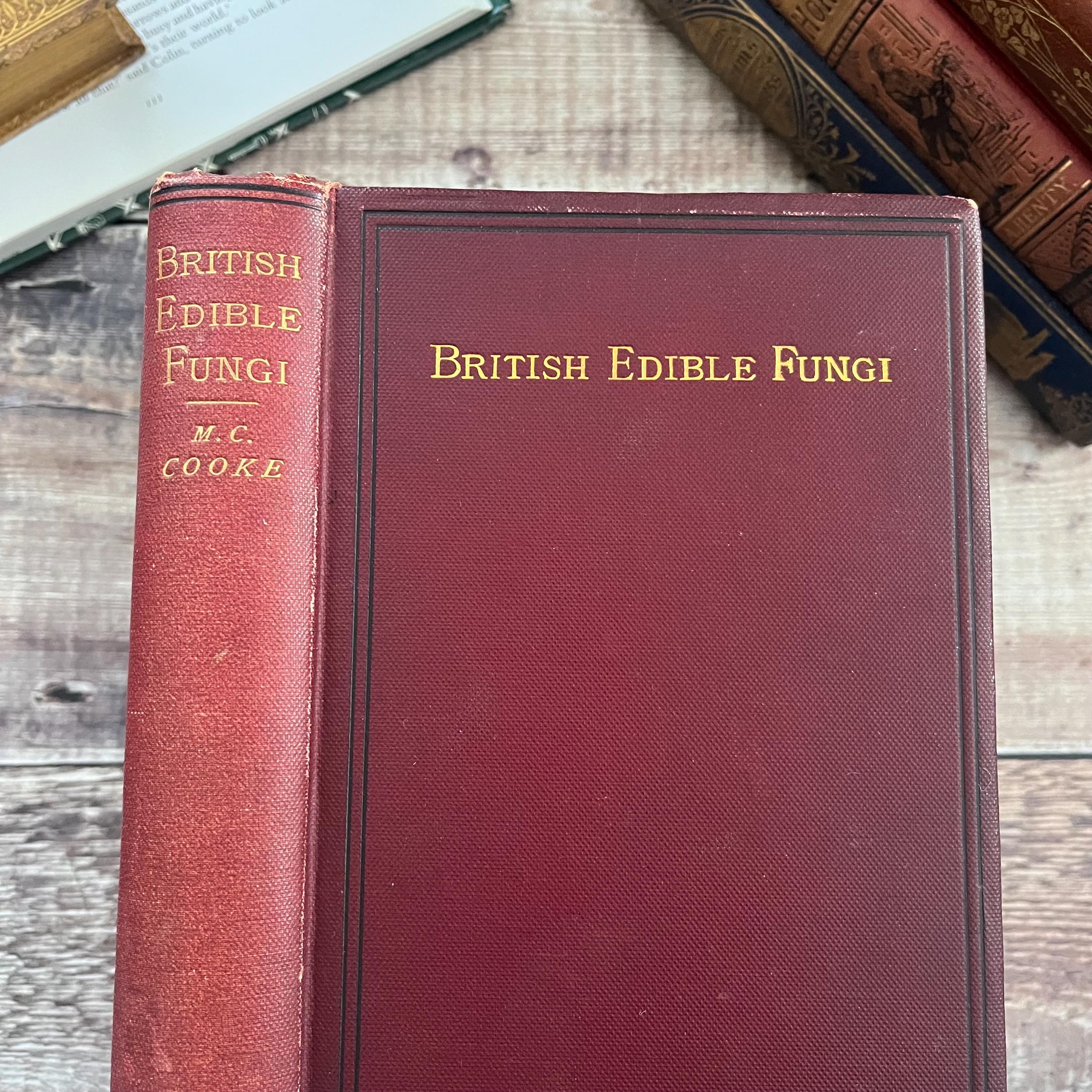 1891 British Edible Fungi Book: M C Cooke, 1st Edition Color