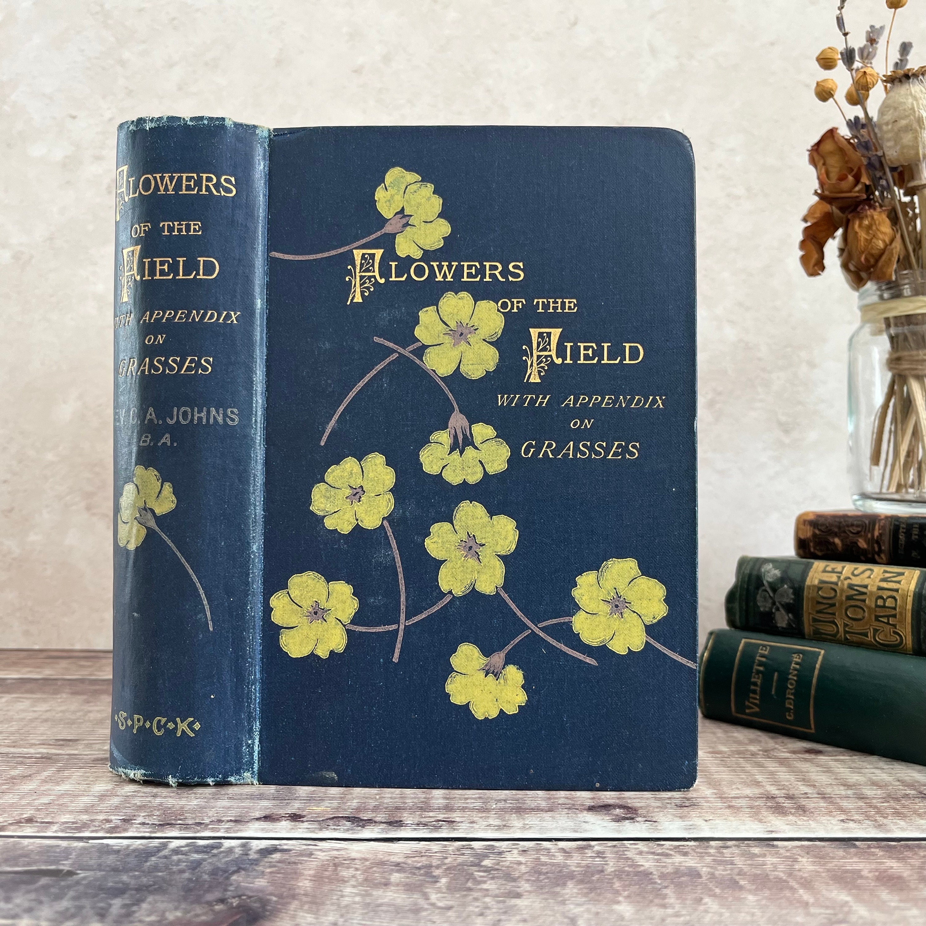 Antique, 1894, Flowers of the Field With Appendix on Grasses