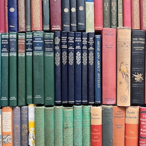 The Original Adopt a Vintage Book...Give a Well Loved Vintage Book a Home