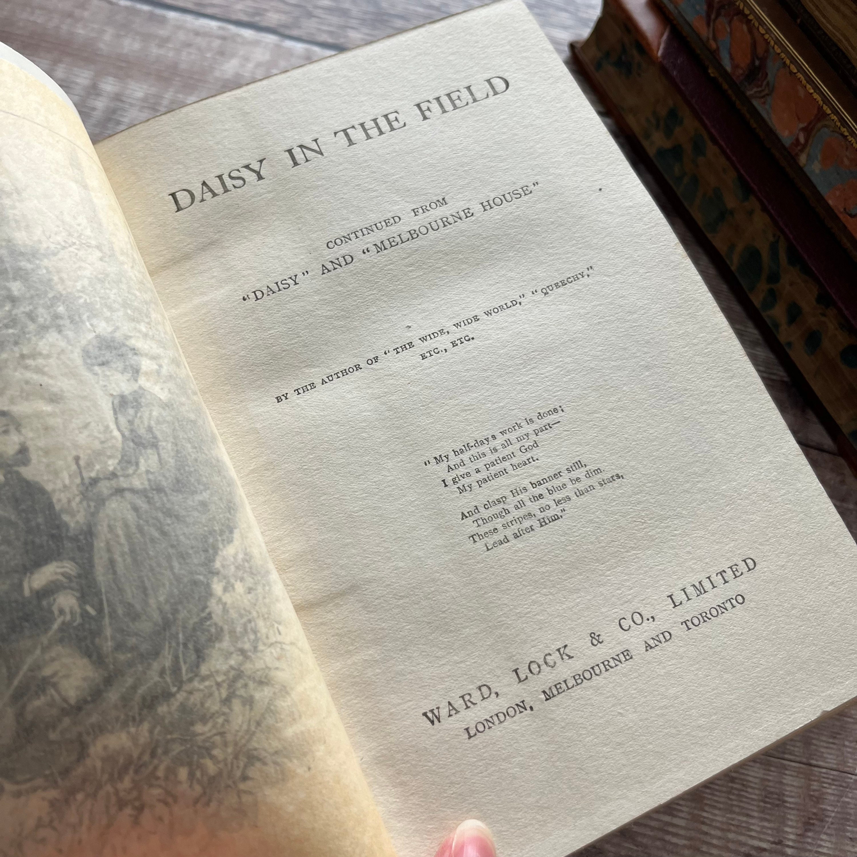 Daisy in the Field by Elizabeth Wetherell Vintage Antique Blue Etsy UK