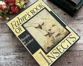 Fabre's Book of Insects Illustrationen von Edward Detmold Vintage Dust Jacket Original Box .. Buch herausgegeben von Tudor PUbling Company 1936