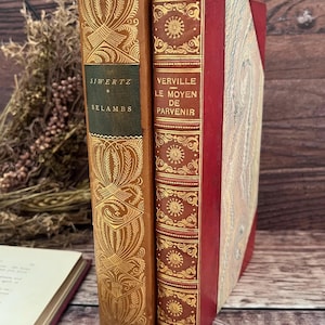Puede incluir: Dos libros antiguos con detalles dorados en las cubiertas. Uno es marrón con el título "SIWERTZ SELAMBS" en una etiqueta verde. El otro es rojo con el título "VERVILLE LE MOYEN DE PARVENIR".