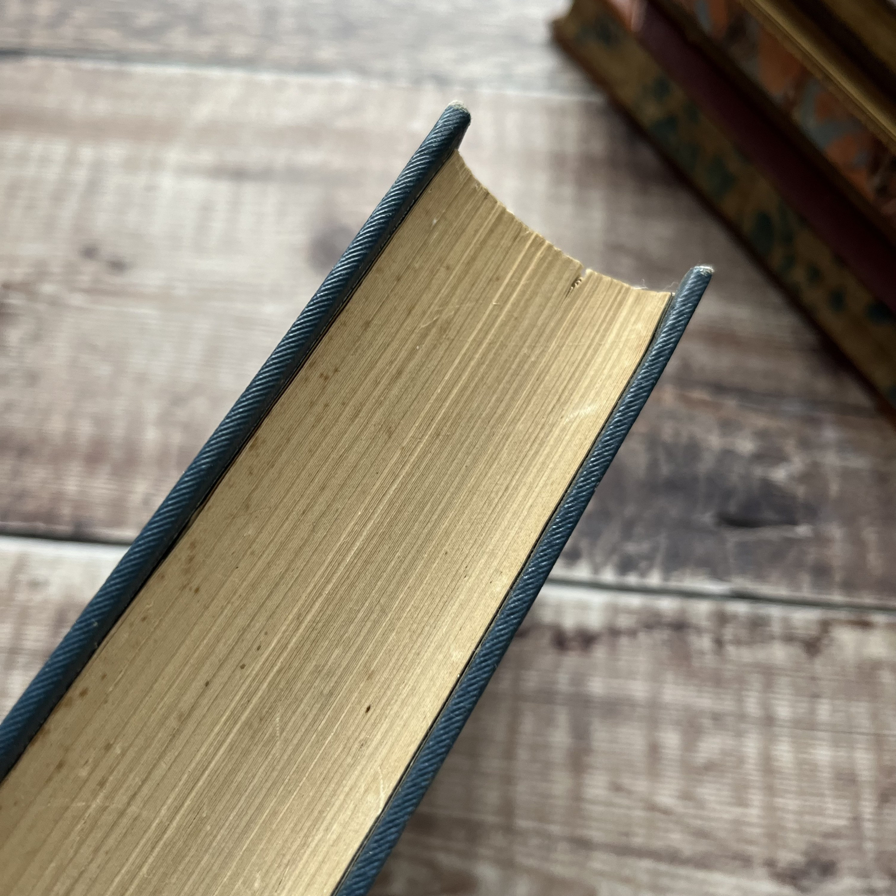 Daisy in the Field by Elizabeth Wetherell Vintage Antique Blue Etsy UK