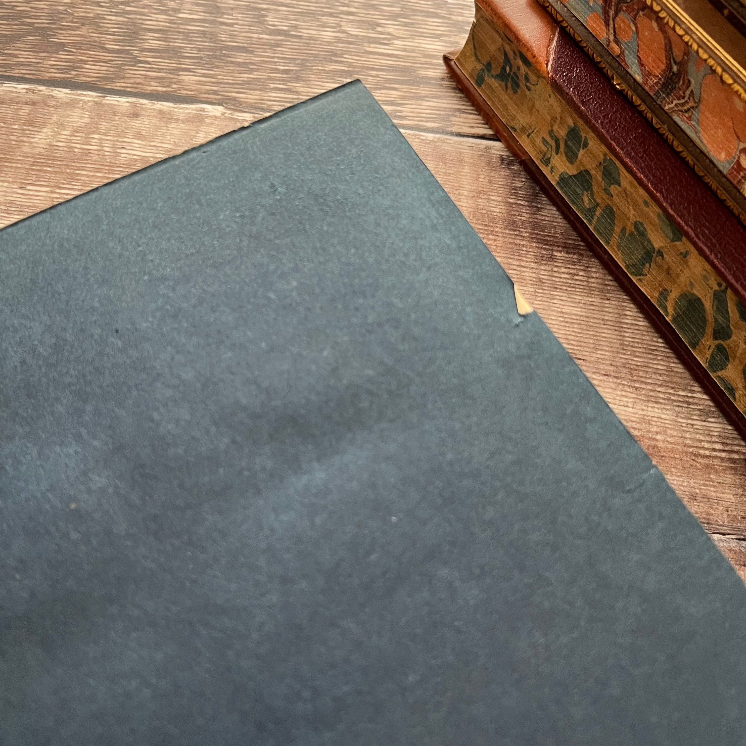 Daisy in the Field by Elizabeth Wetherell Vintage Antique Blue Etsy UK