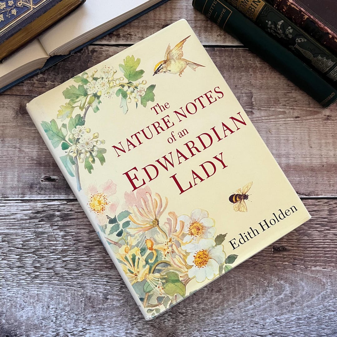 1994 the Nature Notes of an Edwardian Lady by Edith Holden Vintage ...