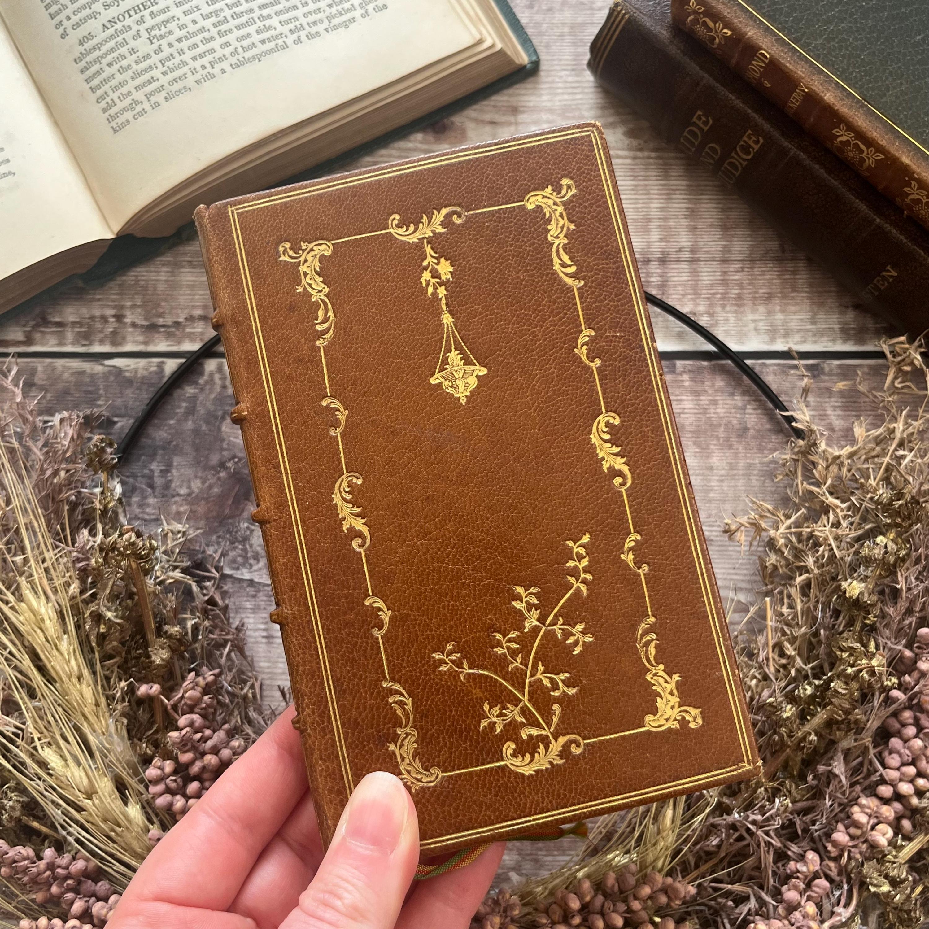 フランスアンティーク　ゴールドの装丁が美しい本　イラスト入り　1800年代　古書 フランスアンティークゴールドの装丁が美しい本イラスト入り1800年代古書