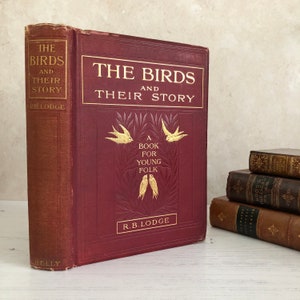 The Birds and Their Story by R.B.Lodge A Book for Young Folk Edwardian Vintage Antique Hardback... book published by Charles H Kelly