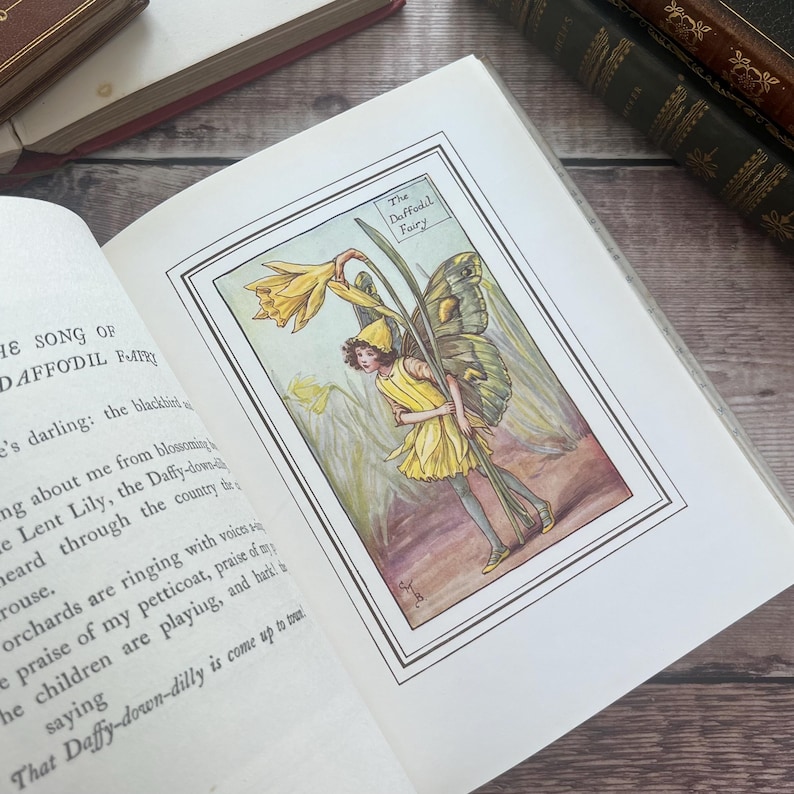 May include: An open book showing a colour illustration of a fairy with a daffodil. The fairy is in a yellow dress and has butterfly wings. The text "The Daffodil Fairy" is at the top of the illustration.
