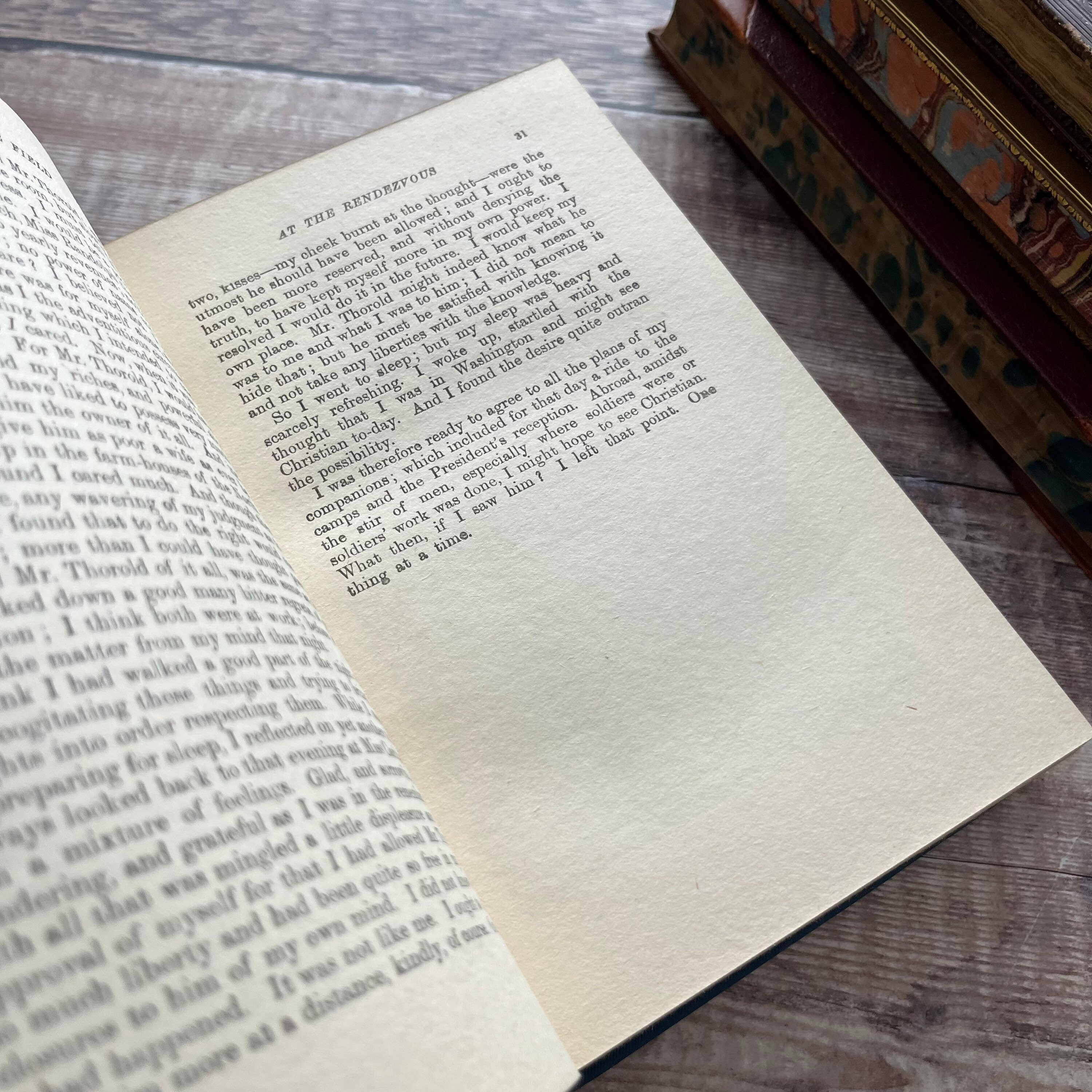 Daisy in the Field by Elizabeth Wetherell Vintage Antique Blue Etsy UK