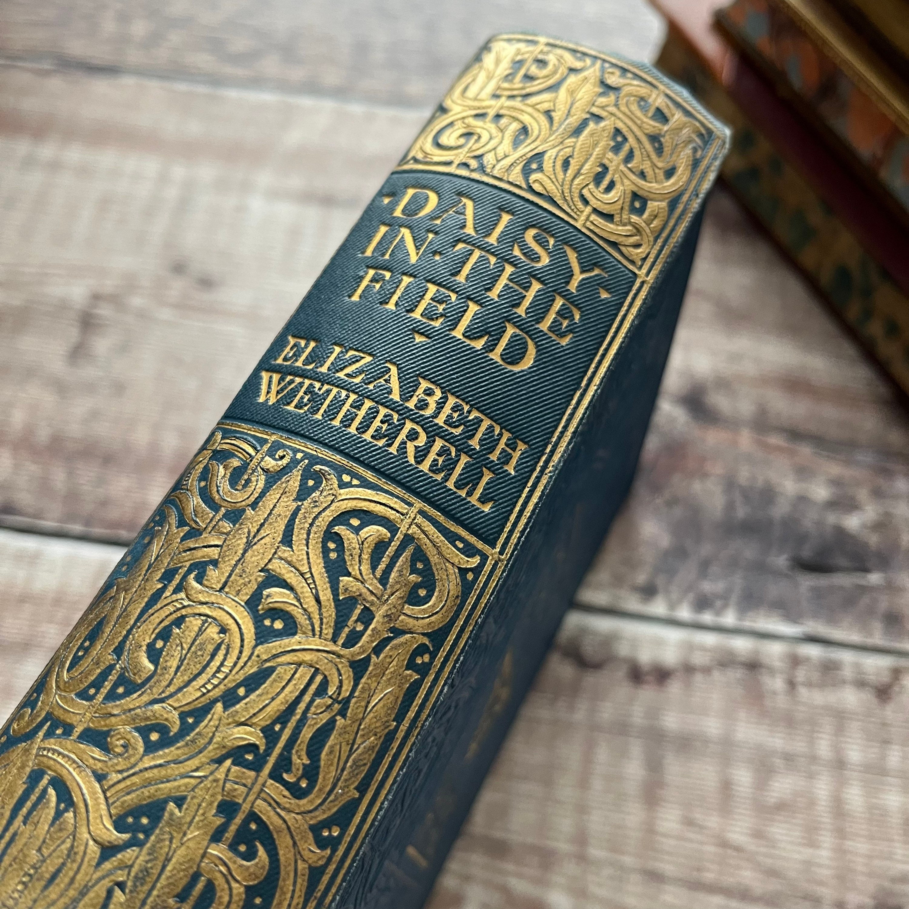 Daisy in the Field by Elizabeth Wetherell Vintage Antique Blue Etsy UK