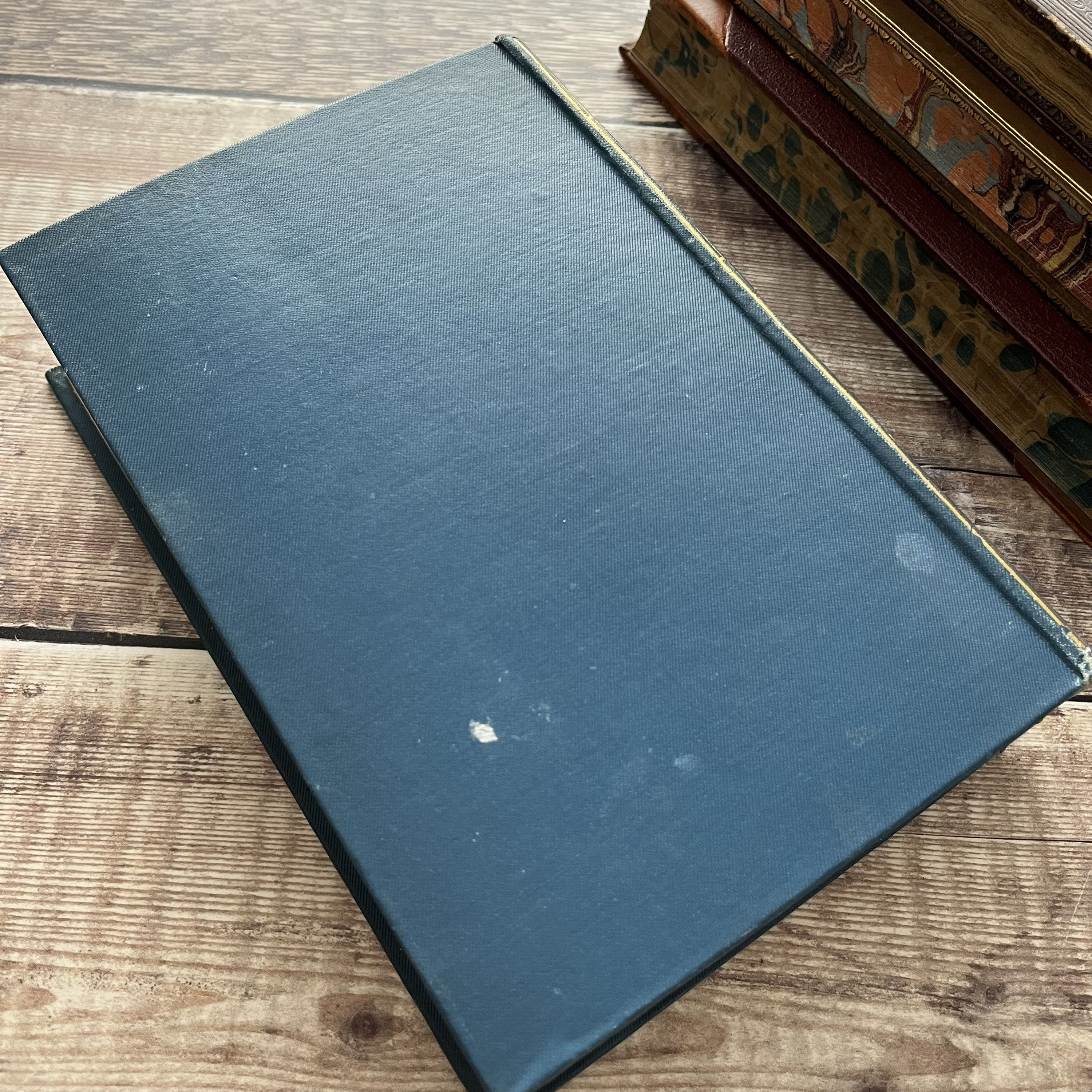 Daisy in the Field by Elizabeth Wetherell Vintage Antique Blue Etsy UK