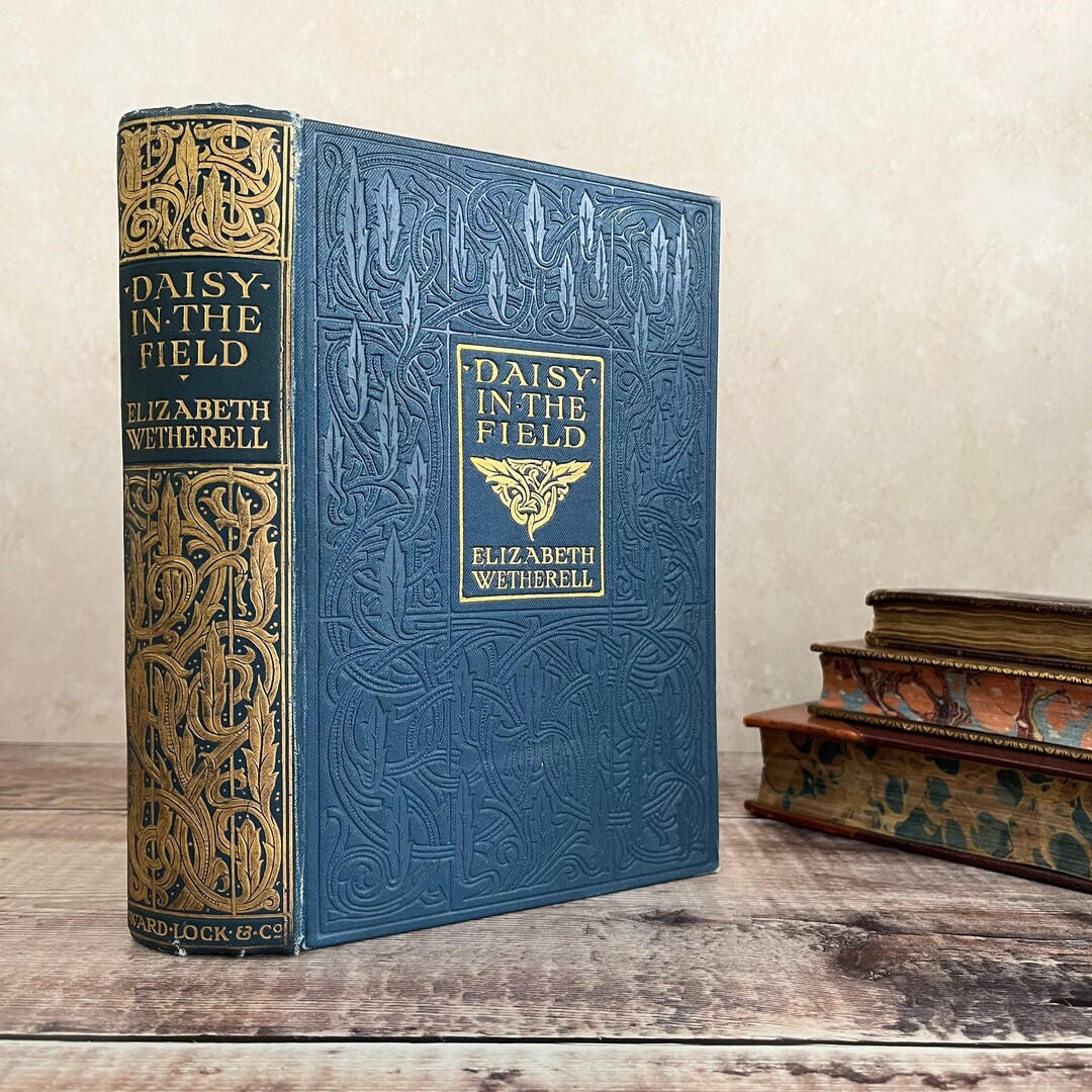 Daisy in the Field by Elizabeth Wetherell Vintage Antique Blue and Gold