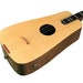 see more listings in the Stick Dulcimers  section