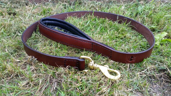 leather dog harness and lead