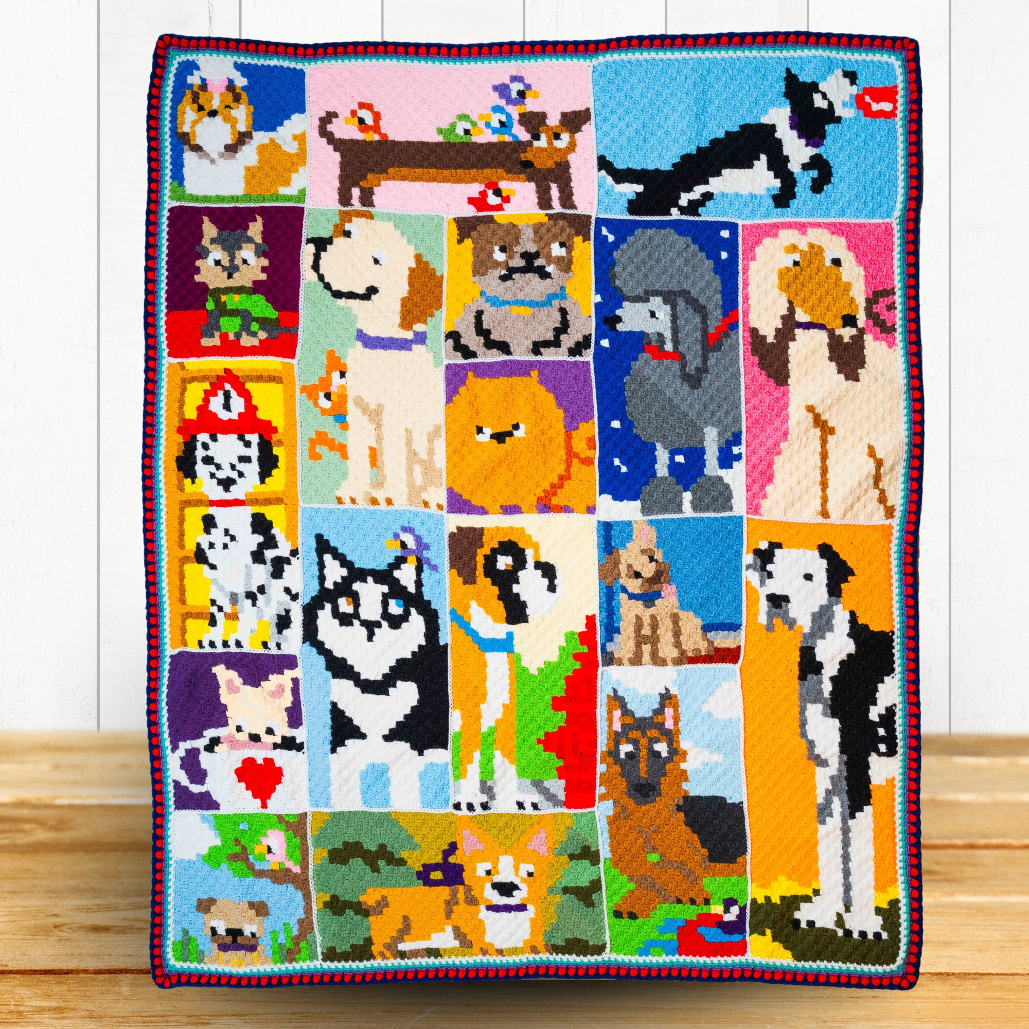 DOG IN BLANKET CDセット il_fullxfull.5882762702_m9fs.jpg
