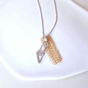 Gold and Silver Israel Map Necklace, 2 Layers Israel Necklace, Judaica Jewelry, Silver Israel Map Charm with CZ Necklace, Support Israel