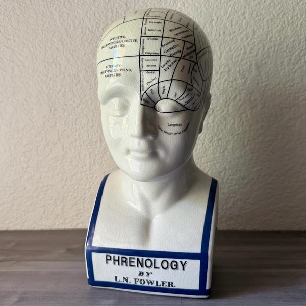 Vintage L.N. Fowler London Phrenology Ceramic Bust Head Model Medical Figure