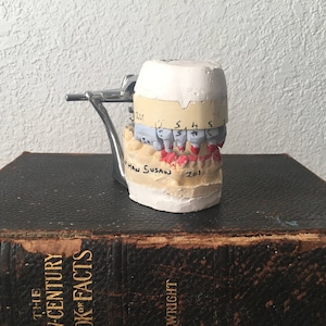 Dental Tooth Model, Medical Collectible, Oddity, Creepy Halloween Decor