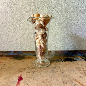 Antique Whitall Tatum Etched Glass Apothecary Footed Measuring Beaker with Shell Specimens,  Chemistry Hand Blown Graduated  Beaker